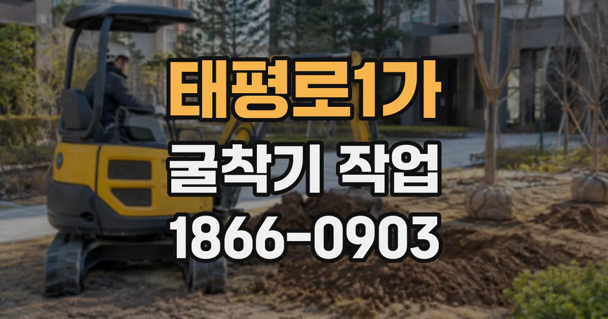 태평로1가 굴착기작업