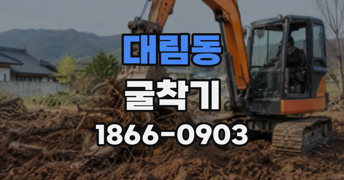 대림동 굴착기