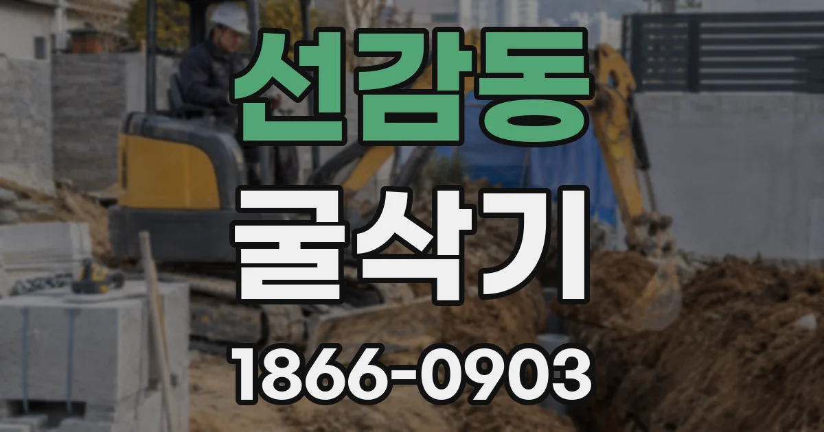 선감동 굴삭기