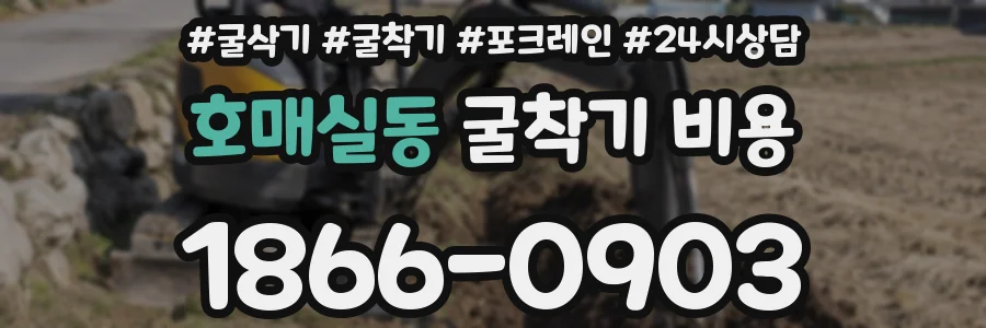 호매실동 굴착기 비용