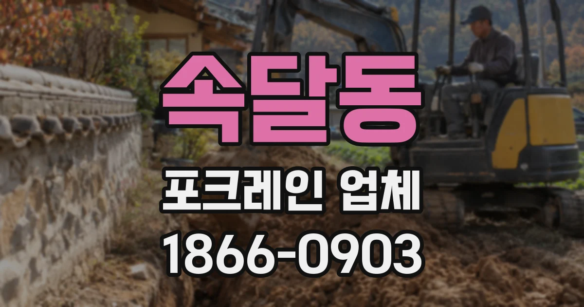 속달동 포크레인 업체