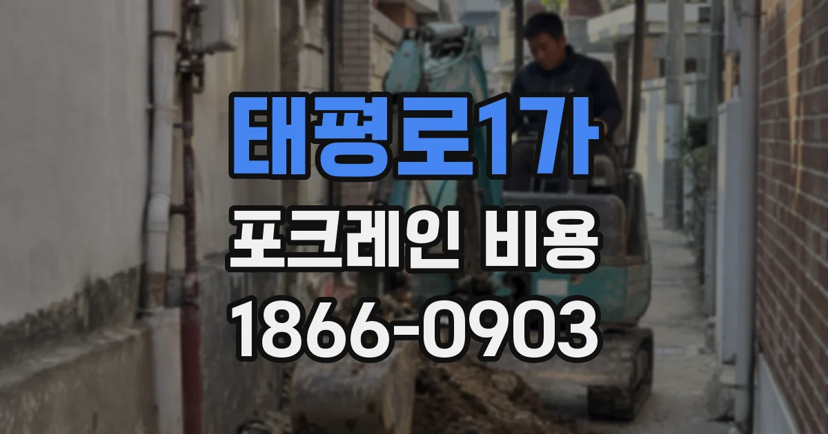 태평로1가 포크레인 비용