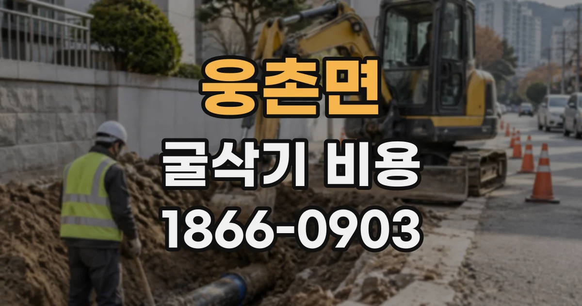 웅촌면 굴삭기비용