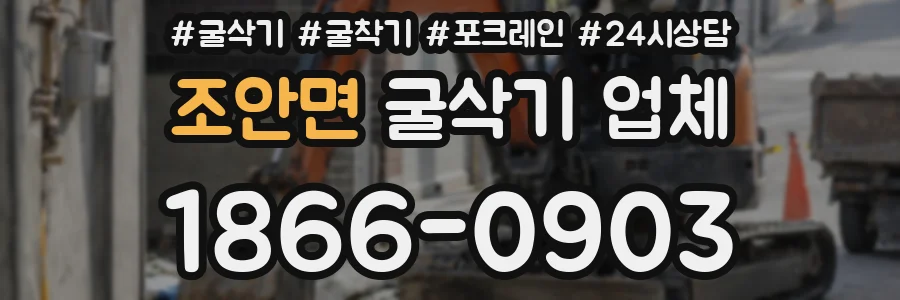 조안면 굴삭기 업체