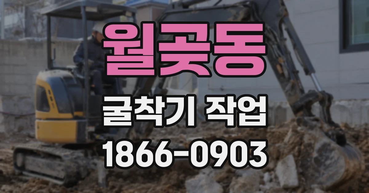 월곶동 굴착기 작업