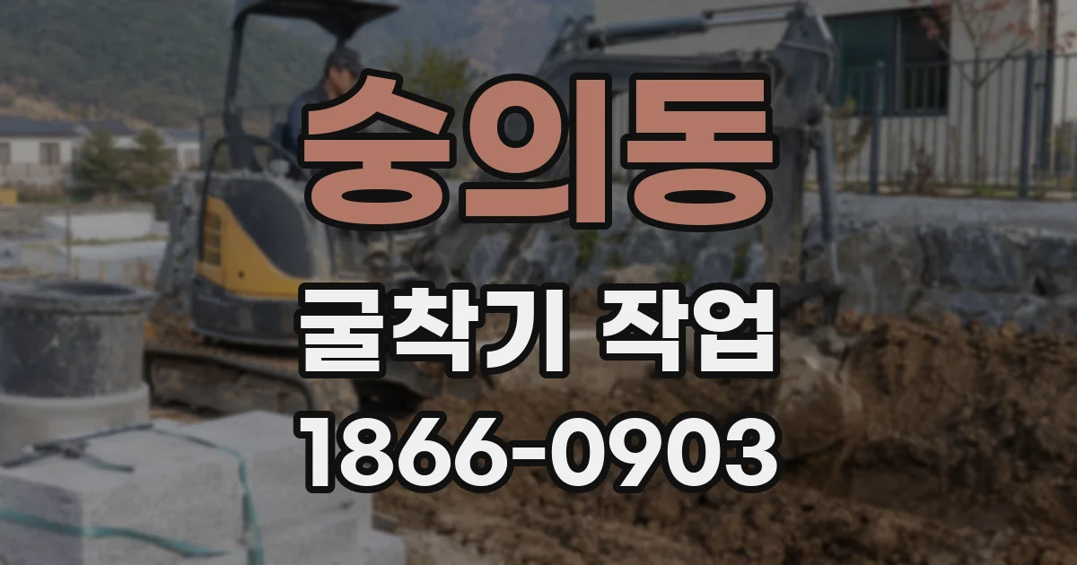 숭의동 굴착기 작업