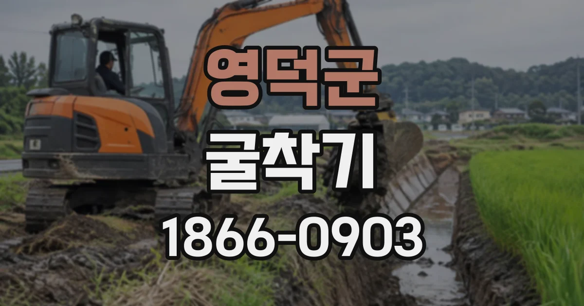 영덕군 굴착기