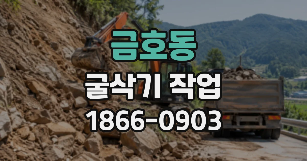 금호동 굴삭기작업