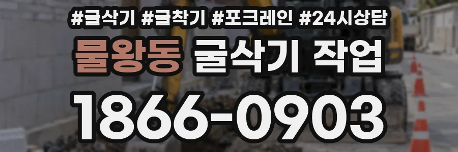 물왕동 굴삭기 작업