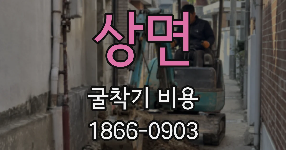 상면 굴착기 비용