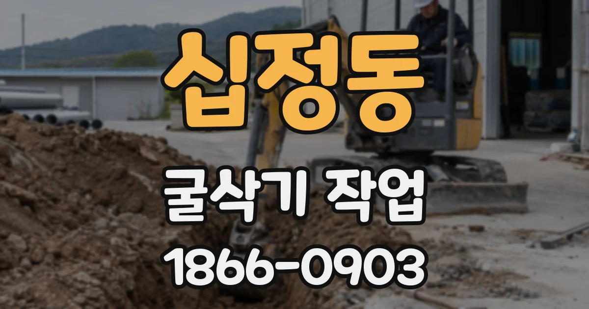 십정동 굴삭기 작업