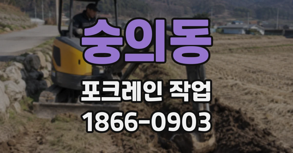 숭의동 포크레인 작업