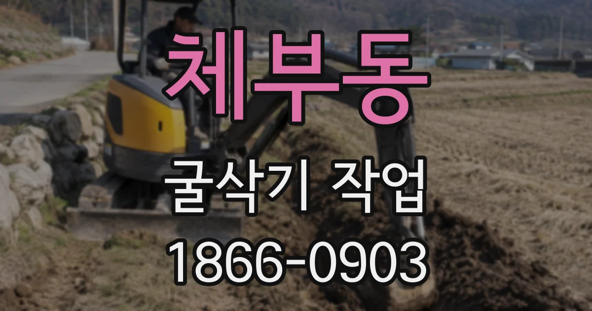 체부동 굴삭기 작업