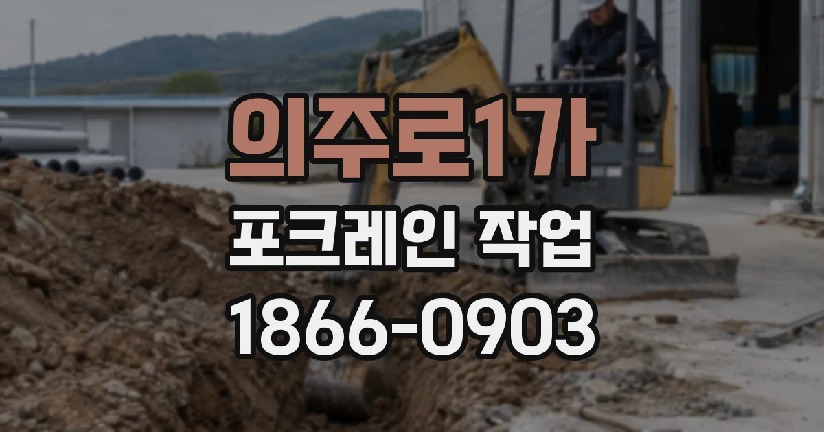 의주로1가 포크레인 작업