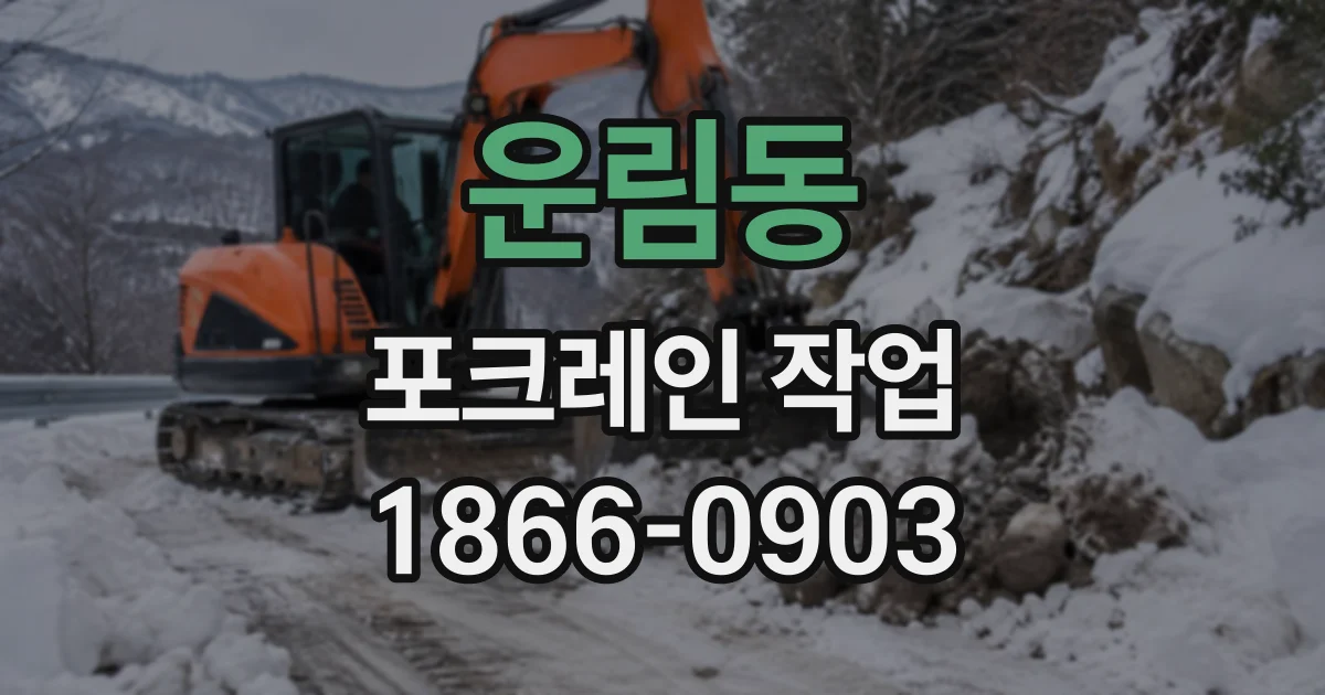 운림동 포크레인작업