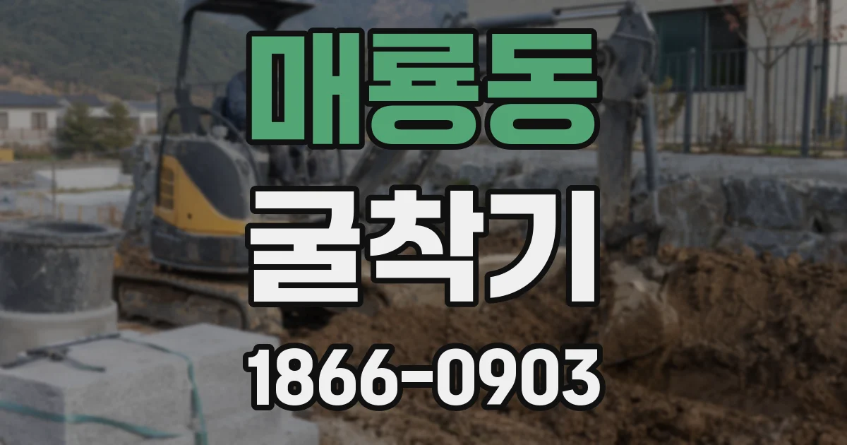 매룡동 굴착기