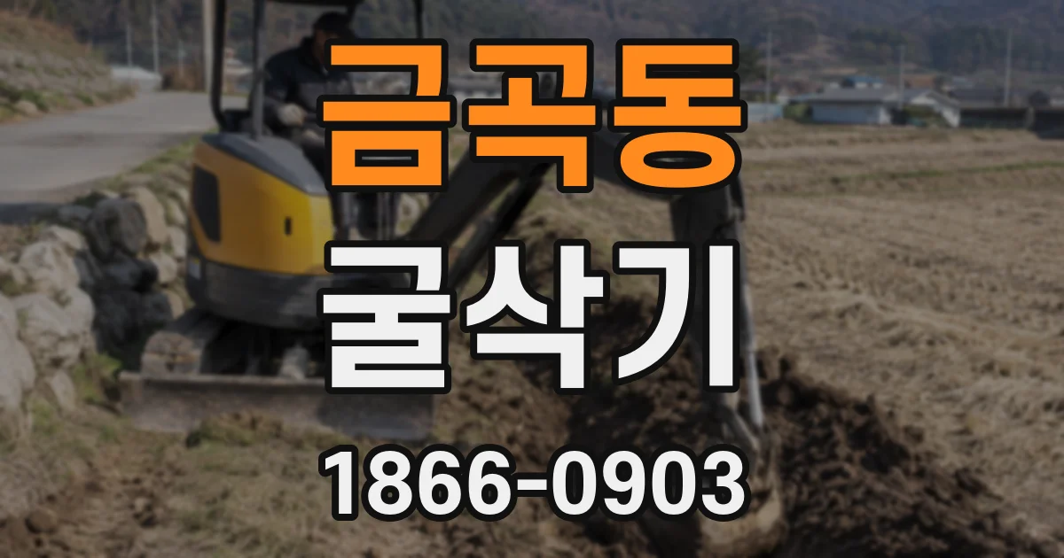금곡동 굴삭기