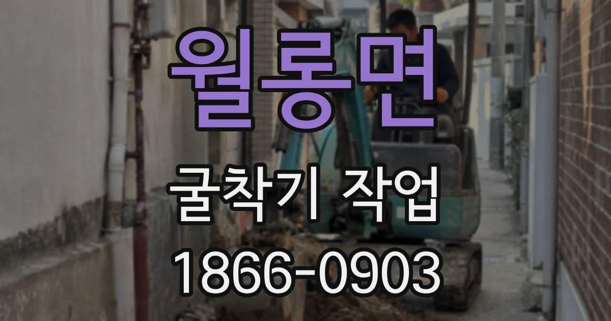 월롱면 굴착기 작업