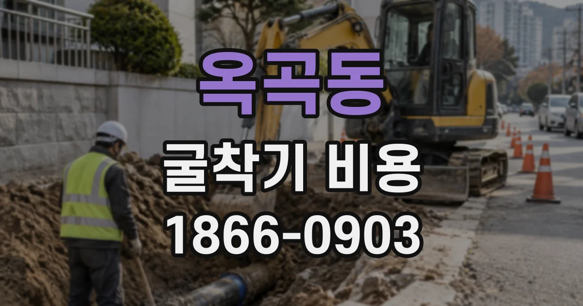 옥곡동 굴착기비용