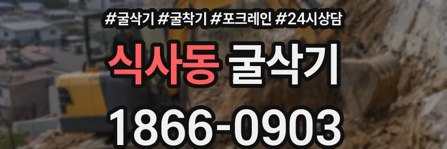 식사동 굴삭기