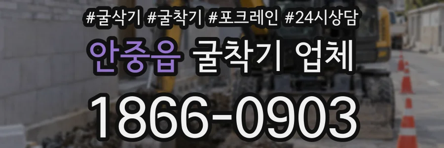 안중읍 굴착기 업체