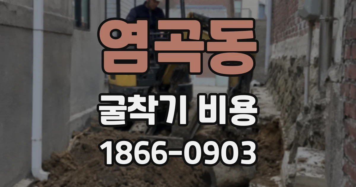 염곡동 굴착기 비용