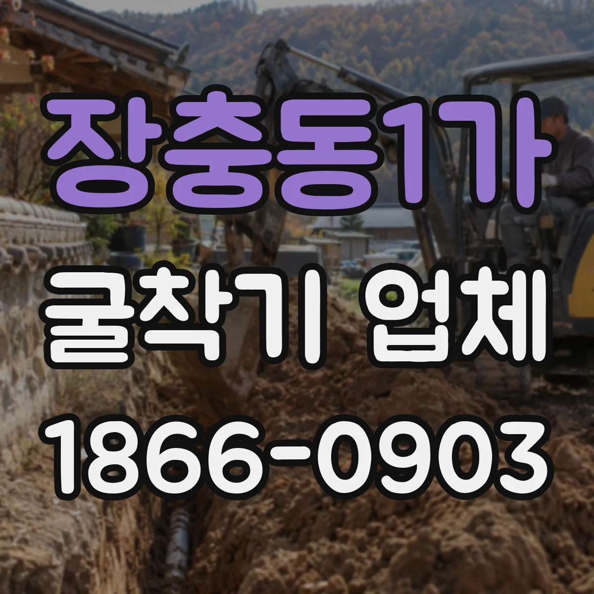 장충동1가 굴착기 업체