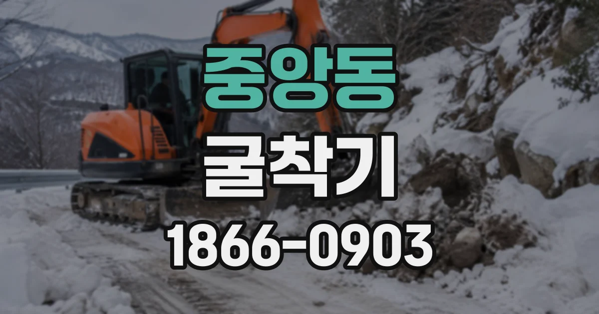 중앙동 굴착기
