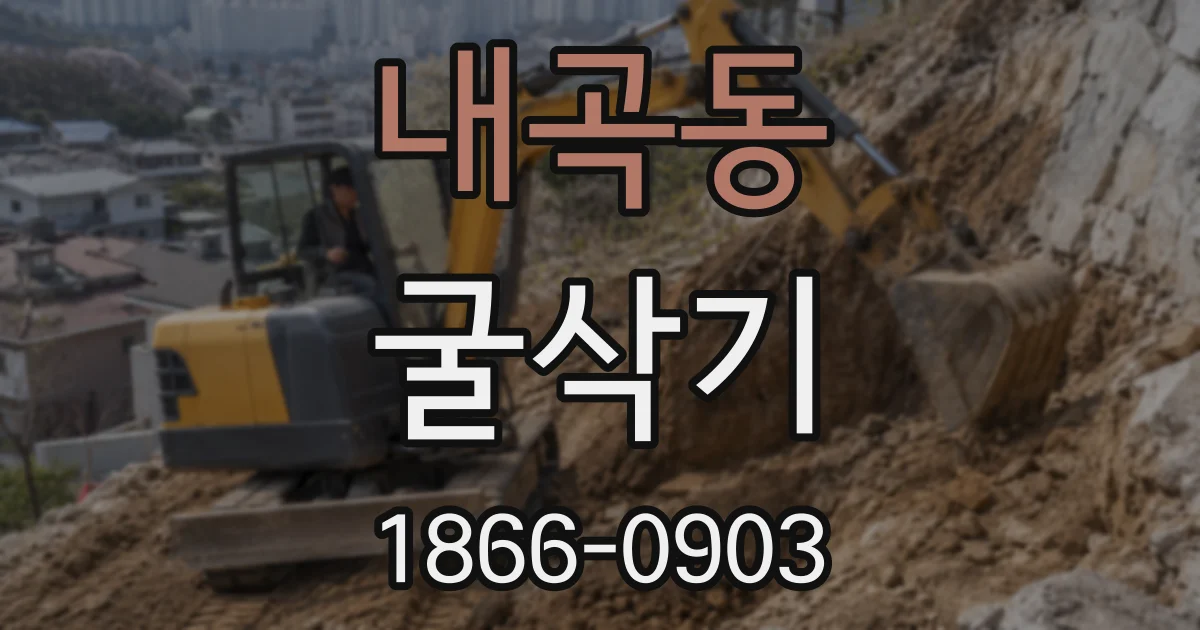 내곡동 굴삭기