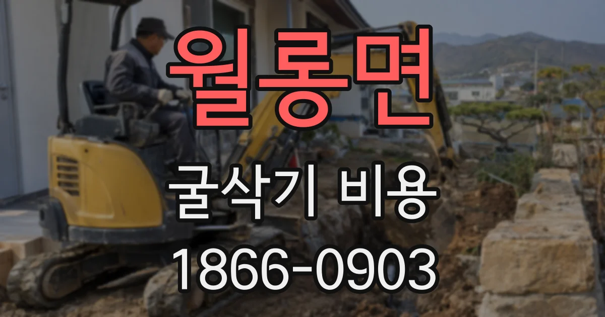 월롱면 굴삭기 비용