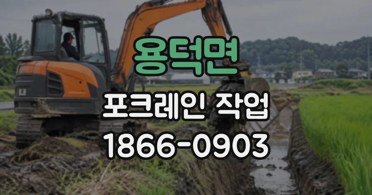 용덕면 포크레인작업