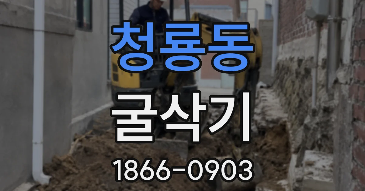 청룡동 굴삭기