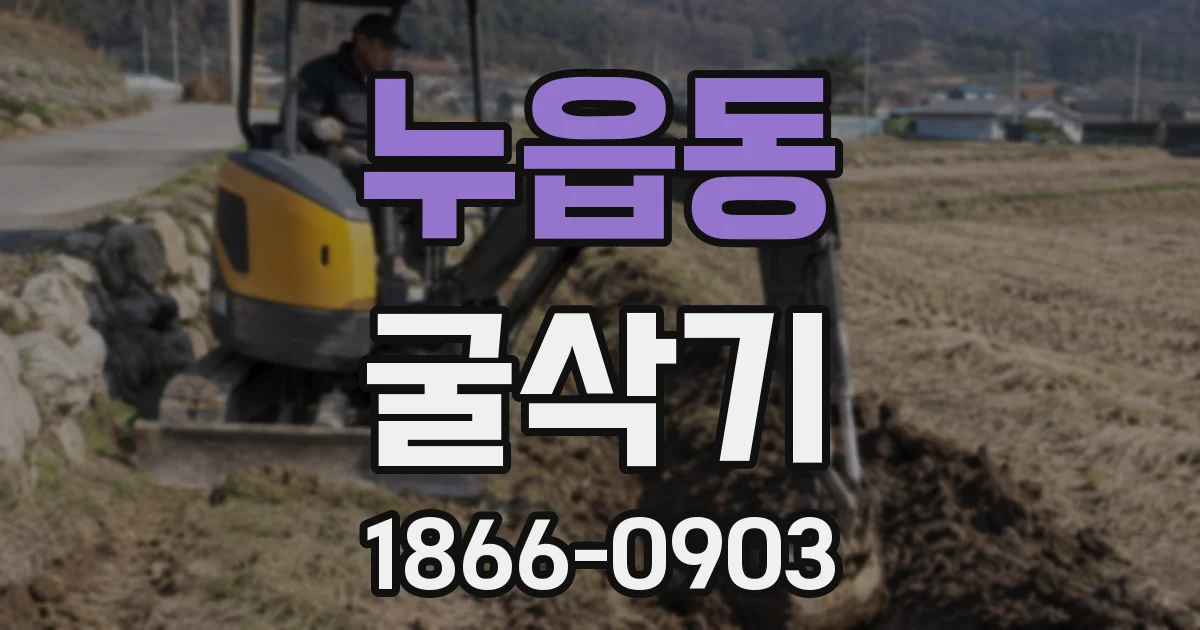 누읍동 굴삭기