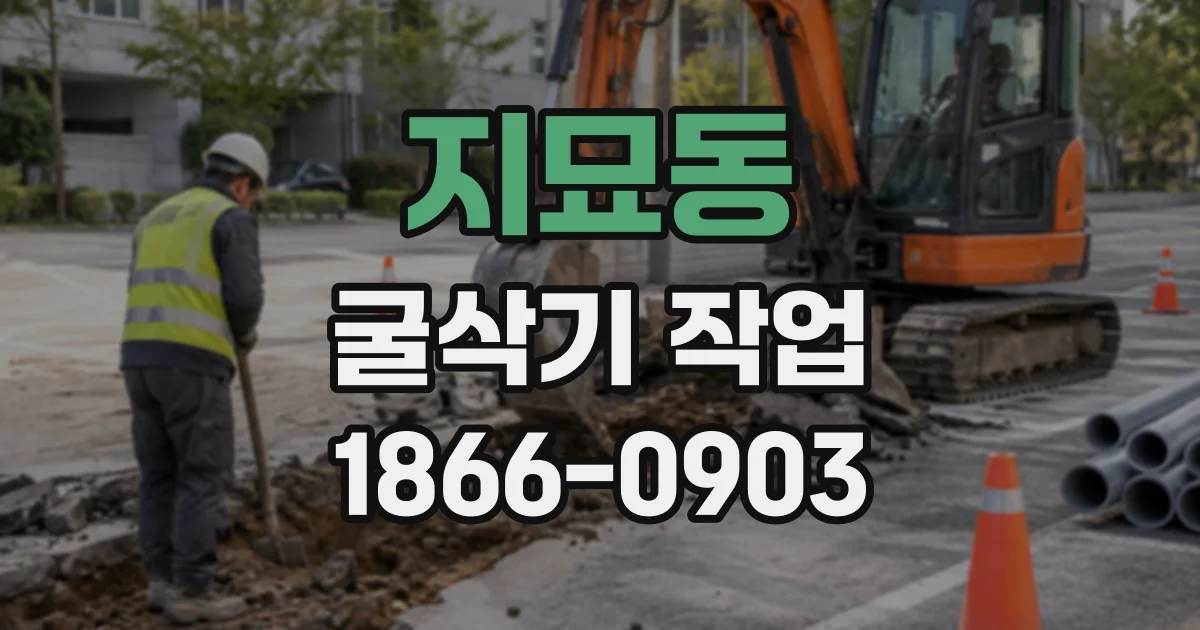 지묘동 굴삭기작업