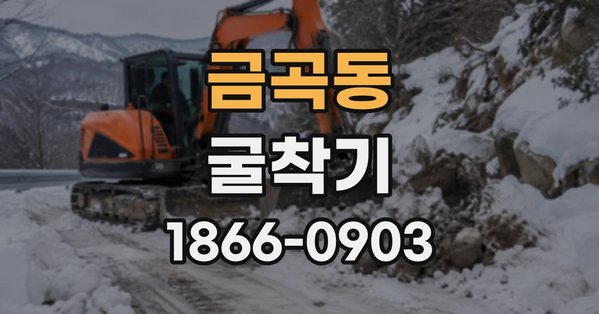 금곡동 굴착기