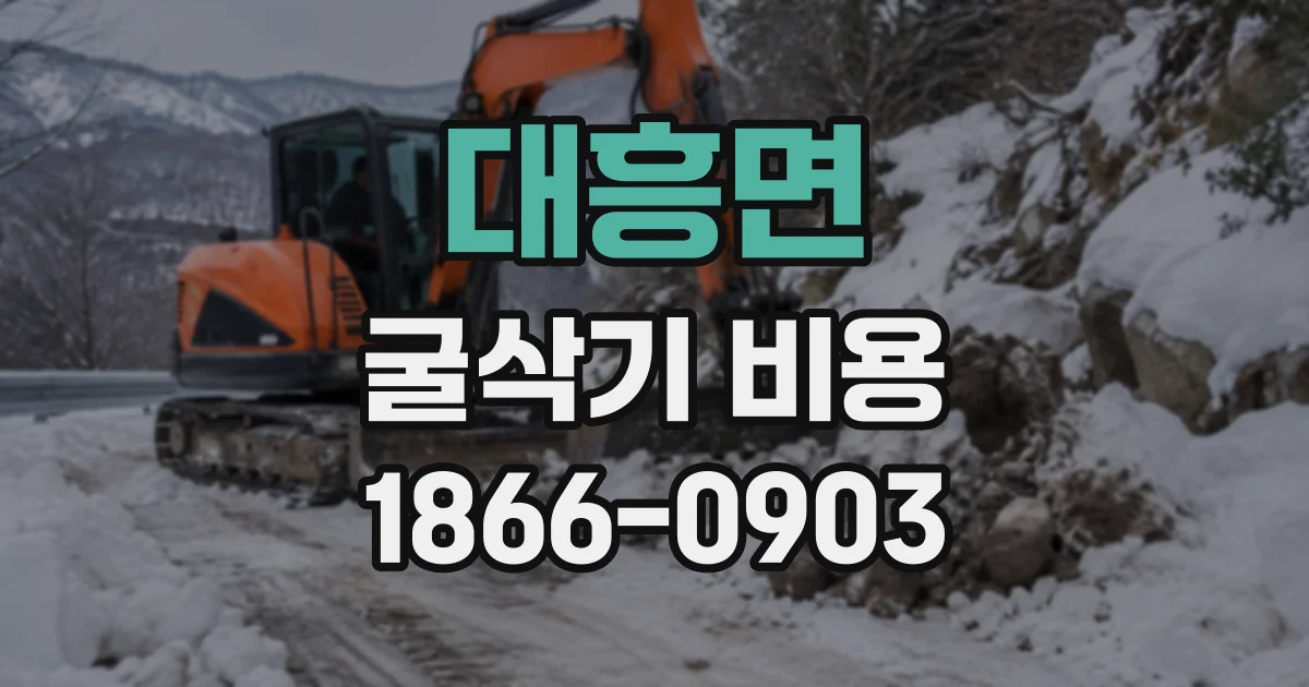 대흥면 굴삭기비용