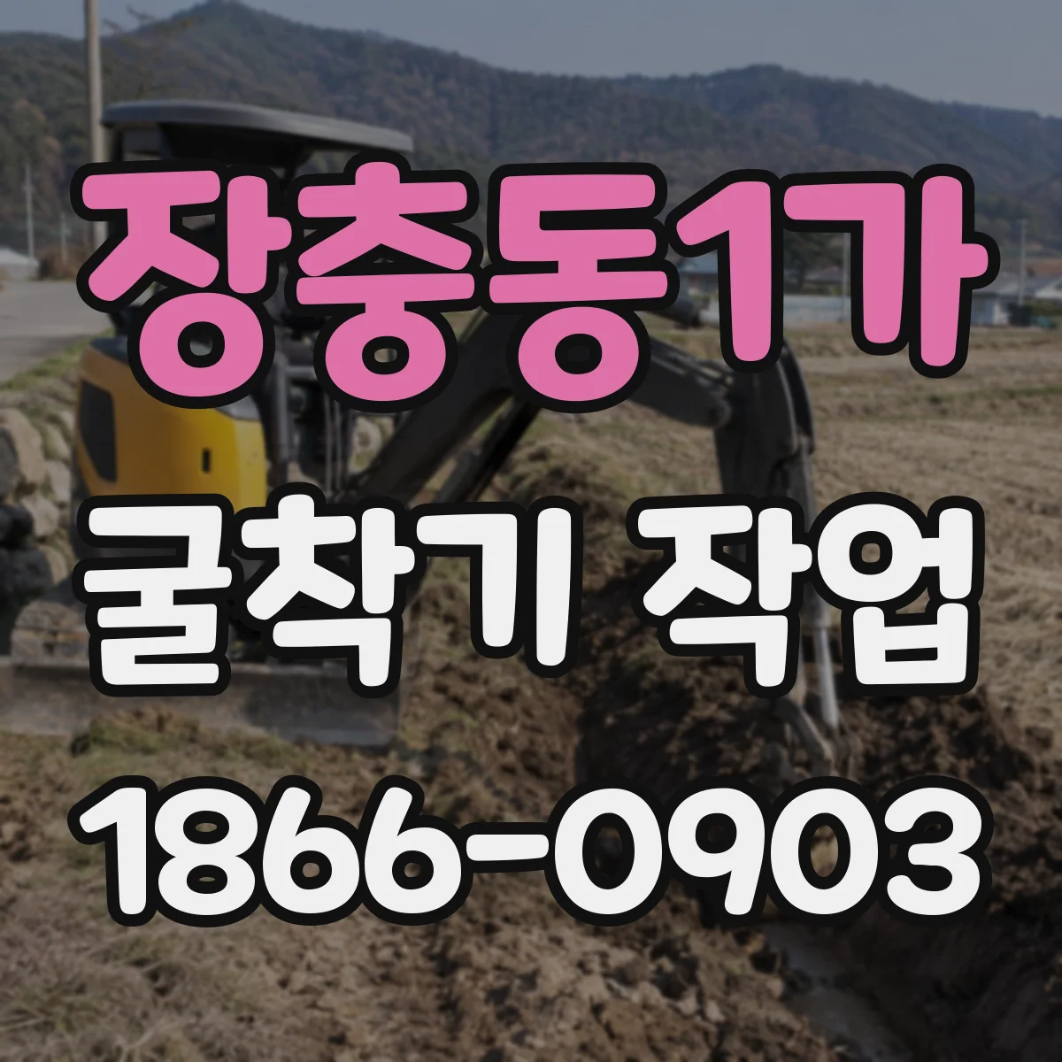 장충동1가 굴착기 작업