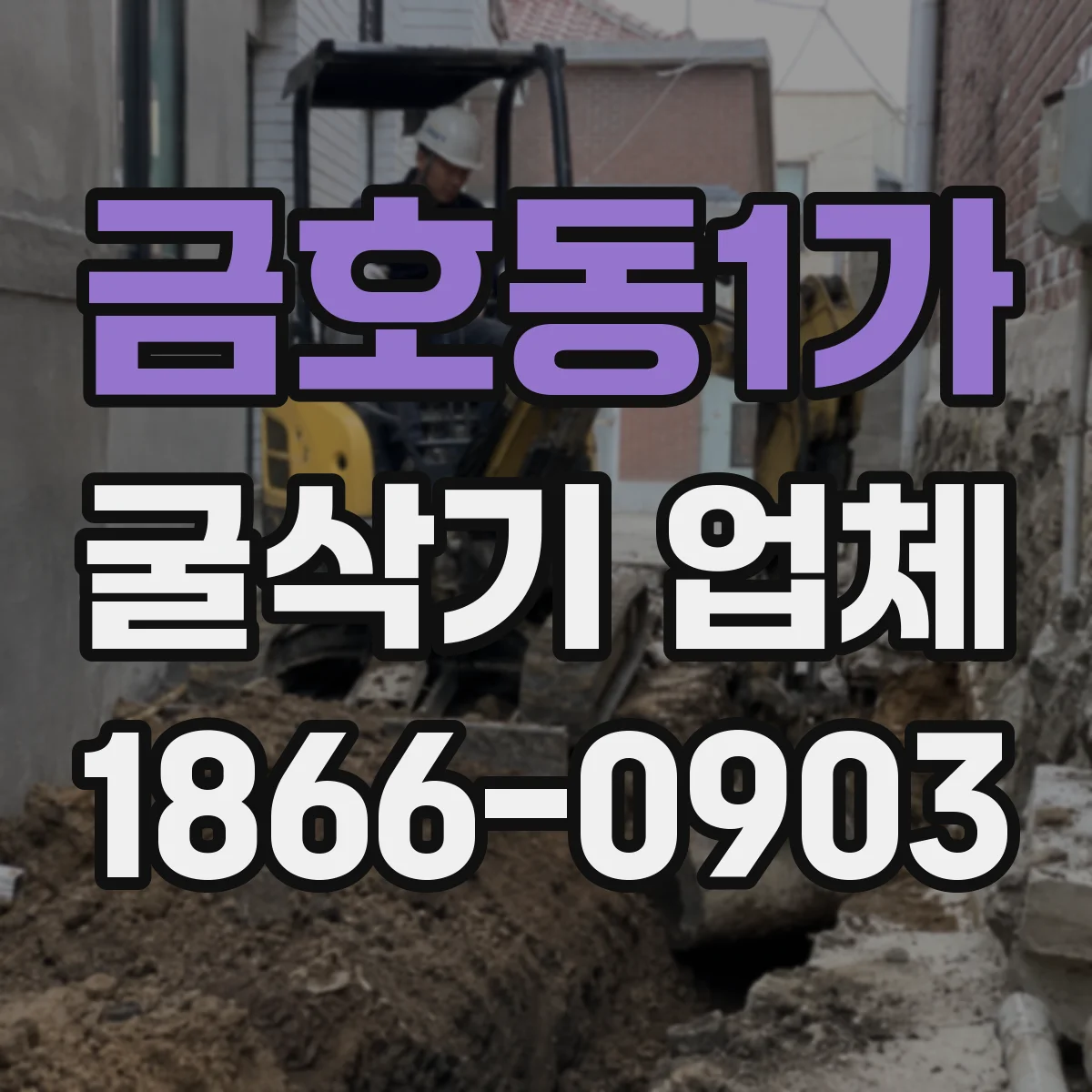 금호동1가 굴삭기 업체