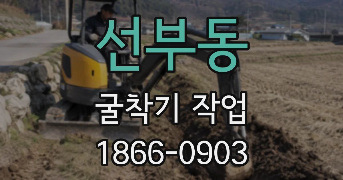 선부동 굴착기 작업