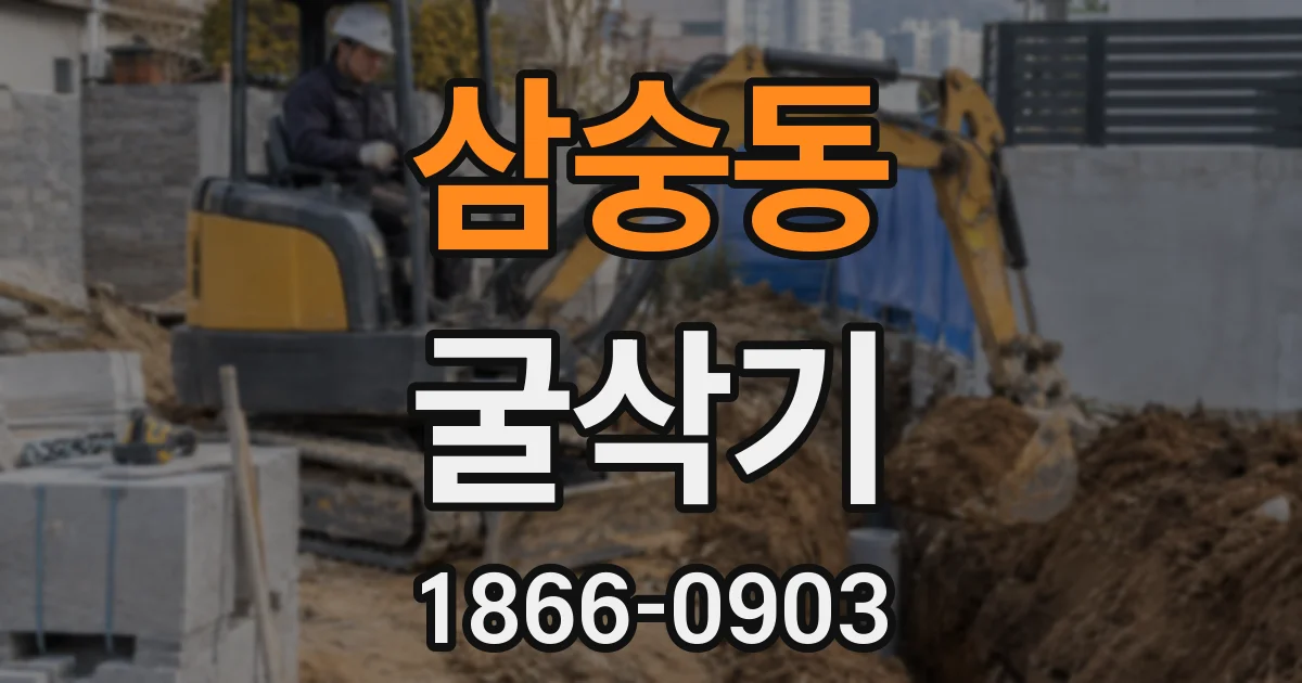 삼숭동 굴삭기