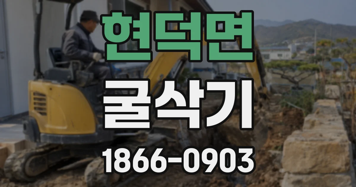 현덕면 굴삭기