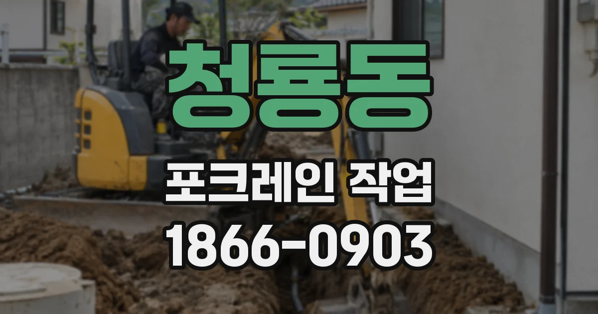 청룡동 포크레인 작업