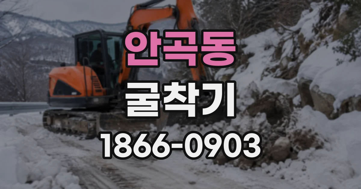 안곡동 굴착기