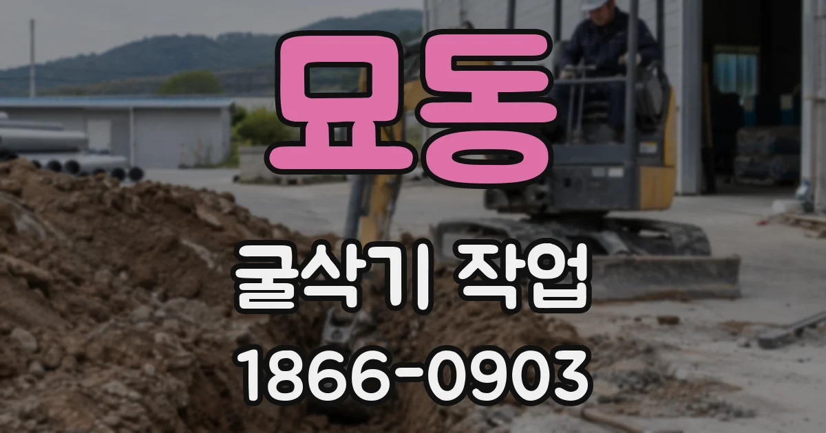 묘동 굴삭기 작업
