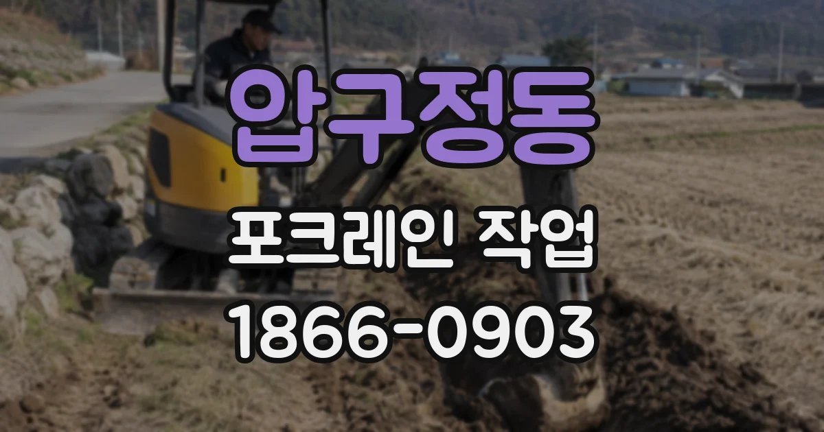 압구정동 포크레인 작업