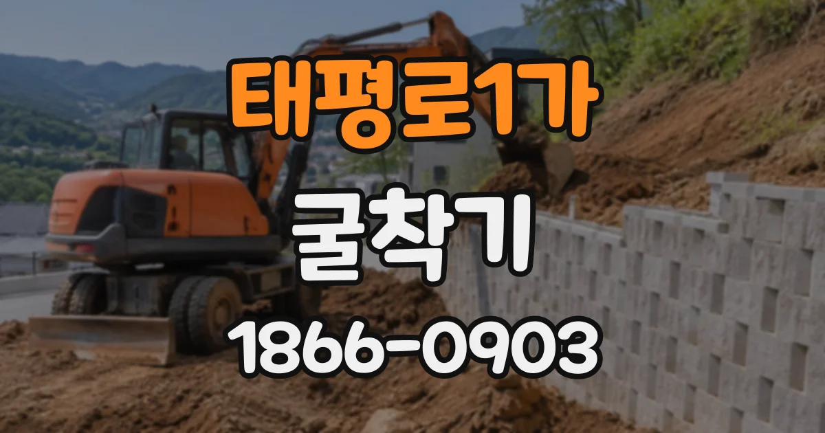 태평로1가 굴착기