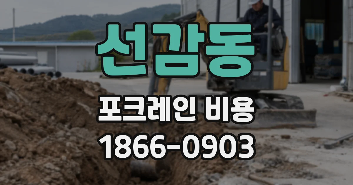 선감동 포크레인 비용