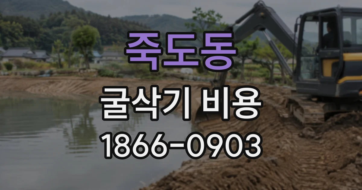 죽도동 굴삭기비용