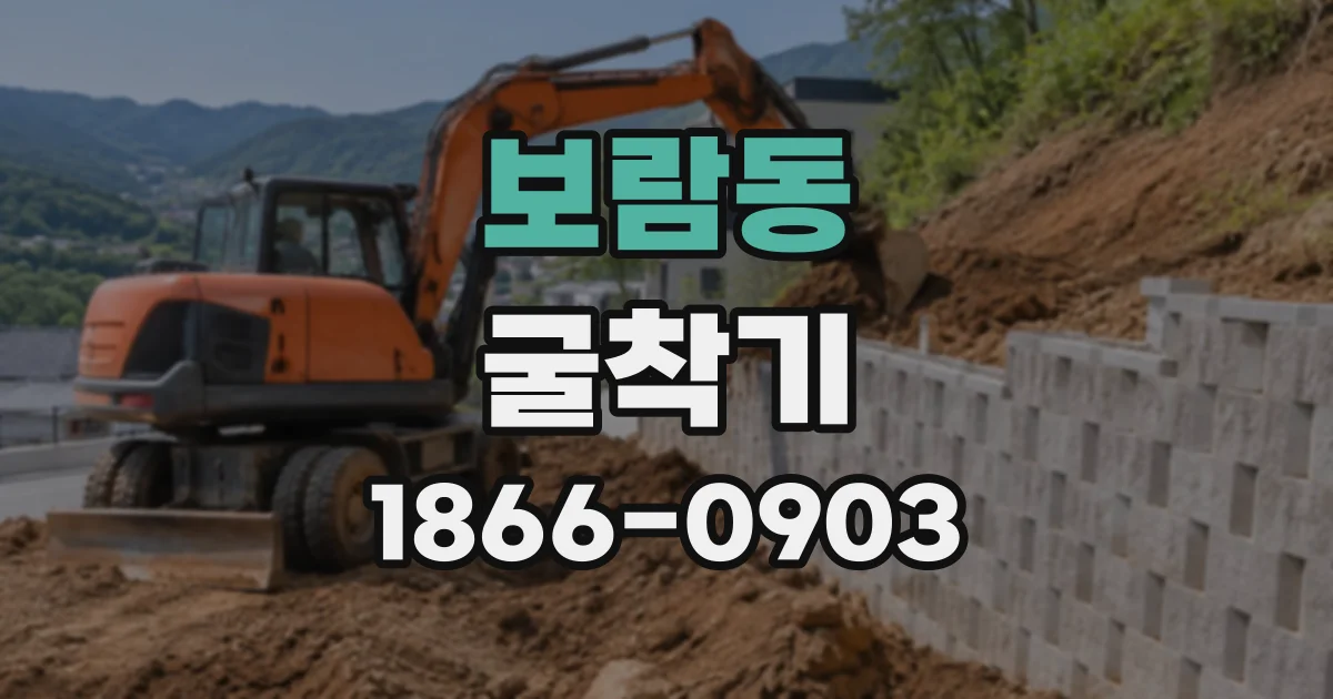 보람동 굴착기