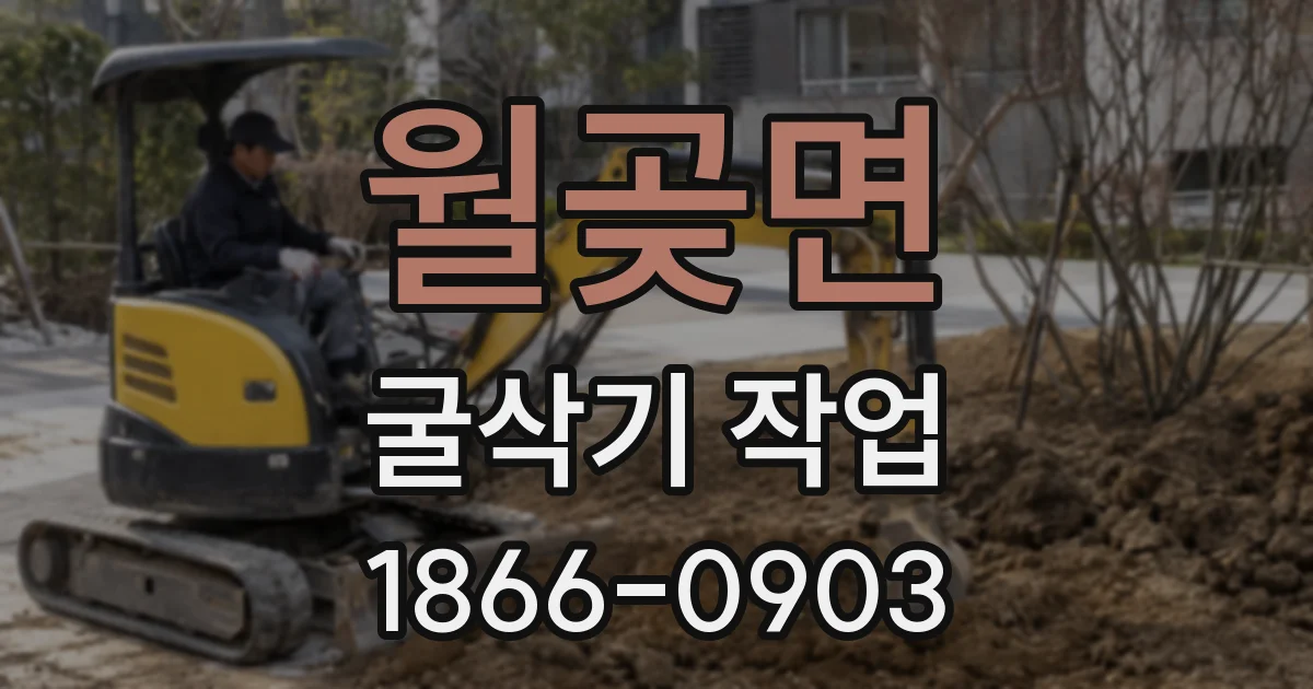 월곶면 굴삭기 작업